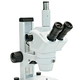 Trinocular Zoom Stereo Microscope